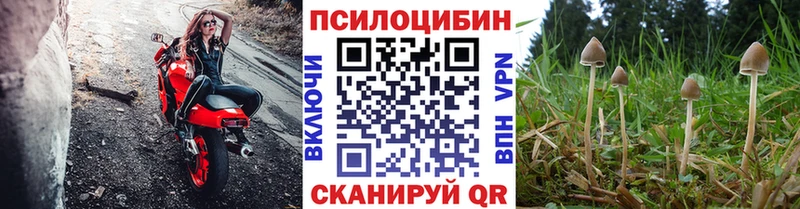 blacksprut ссылка  где купить наркотик  Усмань  Псилоцибиновые грибы Magic Shrooms 